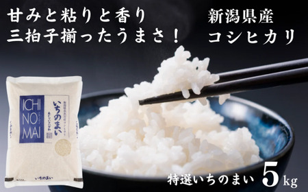 令和6年産新米 新潟県産コシヒカリ「特選いちのまい」5kg 米・食味鑑定士お墨付き 令和6年産 精米したてを発送 こしひかり 糸魚川 白米[コシヒカリ 精米 白米 コシヒカリ ]