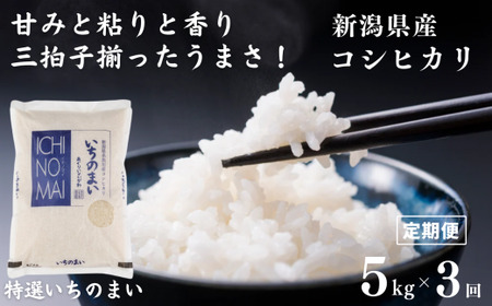 令和6年産新米[3ヶ月定期便]新潟県産コシヒカリ「特選いちのまい」5kg×3回(計15kg) 米・食味鑑定士お墨付き 令和6年産 精米したてを発送 こしひかり 糸魚川 白米 [精米 定期便 コシヒカリ 精米 ]