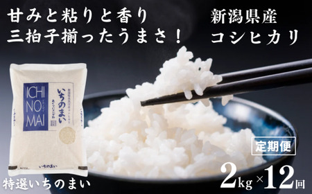 令和6年産新米【12ヶ月定期便】新潟県産コシヒカリ「特選いちのまい」2㎏×12回(計24kg) 米・食味鑑定士お墨付き 令和6年産 精米したてを発送 こしひかり 糸魚川 白米 【精米 白米 定期便 コシヒカリ こしひかり 精米 白米 定期便 コシヒカリ こしひかり 精米 白米 定期便 コシヒカリ こしひかり 精米 白米 定期便 コシヒカリ こしひかり 精米 白米 定期便 コシヒカリ こしひかり 精米 白米 定期便 コシヒカリ こしひかり 精米 白米 定期便 コシヒカリ こしひかり 精米 白米 定期便 コシヒカリ こしひかり 精米 白米 定期便 コシヒカリ こしひかり 精米 白米 定期便 コシヒカリ こしひかり 精米 白米 定期便 コシヒカリ こしひかり 精米 白米 定期便 コシヒカリ こしひかり 精米 白米 定期便 コシヒカリ こしひかり 精米 白米 定期便 コシヒカリ こしひかり 精米 白米 定期便 コシヒカリ こしひかり 精米 白米 定期便 コシヒカリ こしひかり 精米 白米 定期便 コシヒカリ こしひかり 精米 白米 定期便 コシヒカリ こしひかり 精米 白米 定期便 コシヒカリ こしひかり 精米 白米 定期便 コシヒカリ こしひかり 精米 白米 定期便 コシヒカリ こしひかり 精米 白米 定期便 コシヒカリ こしひかり 精米 白米 定期便 コシヒカリ こしひかり 精米 白米 定期便 コシヒカリ こしひかり 精米 白米 定期便 コシヒカリ こしひかり 精米 白米 定期便 コシヒカリ こしひかり 精米 白米 定期便 コシヒカリ こしひかり 精米 白米 定期便 コシヒカリ こしひかり 精米 白米 定期便 コシヒカリ こしひかり 精米 白米 定期便 コシヒカリ こしひかり 精米 白米 定期便 コシヒカリ こしひかり 精米 白米 定期便 コシヒカリ こしひかり 精米 白米 定期便 コシヒカリ こしひかり 精米 白米 定期便 コシヒカリ こしひかり 精米 白米 定期便 コシヒカリ こしひかり 精米 白米 定期便 コシヒカリ こしひかり 精米 白米 定期便 コシヒカリ こしひかり 精米 白米 定期便 コシヒカリ こしひかり 精米 白米 定期便 コシヒカリ こしひかり 精米 白米 定期便 コシヒカリ こしひかり 】