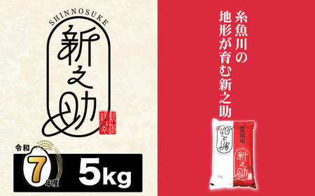 新潟産新之助 5kg[令和7年産] [しんのすけ 農家直送 糸魚川 令和7年産 2025年産 米どころ新潟 米作りのプロ 地元農家 JA 自信作! 美味しい 農家自慢 お米 白米 おにぎり お弁当 新潟県の新ブランド米]