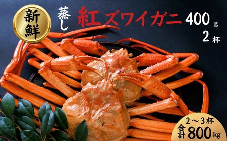 [日本海直送]紅ズワイガニ (400g)2杯 800g鮮度抜群!蒸しガニ ベニズワイガニ 親不知おさかなセンター[紅ズワイガニ かに カニ ズワイガニ 紅ズワイガニ ]