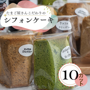 カットシフォン10個入 こだわりのシフォンケーキ 際立つたまごの美味しさ!ふわふわ 食感 糸魚川 新潟 フェルエッグ