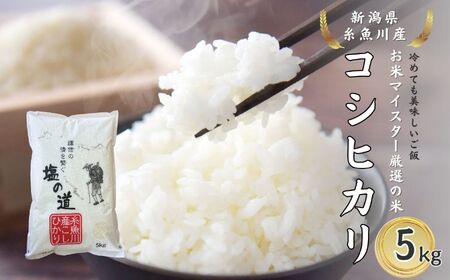 �y�ߘa7�N�Y�V�āz��˶� 5kg �V���� ������Y�w���̓��x�q�]�ēX