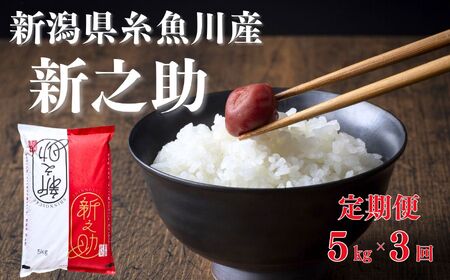 [令和6年産 新米][11月上旬出荷予定][定期便]新之助 5kg×3ヶ月 計15kg 早川の清流が育んだ美味しいお米 新潟県糸魚川産 2024年磯貝農場[毎月お届け しんのすけ 米 お米 こめ ご飯 ライス ふるさと納税 食品 人気 おすすめ 弁当 おにぎり ギフト 新潟県の新しいブランド 農家直送 5キロ 精米 3回 3か月][ 新之助 定期便 ]