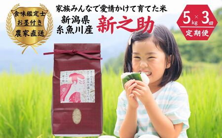 令和7年産【定期便】新之助 5kg×3ヶ月 計15kg 米・食味鑑定士お墨付き 家族みんなで愛情かけて育てた米 新潟県糸魚川産 2025年 しんのすけ 白米 百姓や伝六【米 お米 こめ 食品 人気 おすすめ ギフト 新潟県の新しいブランド米 農家直送 5キロ 精米 3回 3か月 新之助 】