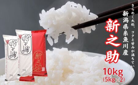 [令和6年産新米]新潟県産 新之助 10kg(5kg×2) 糸魚川産 白米 2024年 木島米穀店 10月下旬出荷予定[米 お米 ご飯 ライス ふるさと納税米 ブランド しんのすけ 食品 おすすめ 人気 新潟県 糸魚川市 5キロ 10キロ お弁当 おにぎり] 新之助 ]