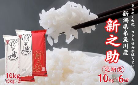 令和6年産新米【6ヶ月定期便】新潟県産 新之助 10kg(5kg×2)×6回 毎月お届け 全60kg 糸魚川産 白米 2024年産 木島米穀店【米 お米 ご飯 ライス ふるさと納税米 ブランド米 しんのすけ 食品 おすすめ 人気 新潟県 糸魚川市 6か月 6ヵ月 6ヶ月】【定期便 米 新之助 定期便 米 新之助 定期便 米 新之助 定期便 米 新之助 定期便 米 新之助 定期便 米 新之助 定期便 米 新之助 定期便 米 新之助 定期便 米 新之助 定期便 米 新之助 定期便 米 新之助 定期便 米 新之助 定期便 米 新之助 定期便 米 新之助 定期便 米 新之助 定期便 米 新之助 定期便 米 新之助 定期便 米 新之助 定期便 米 新之助 定期便 米 新之助 定期便 米 新之助 定期便 米 新之助 定期便 米 新之助 定期便 米 新之助 定期便 米 新之助 定期便 米 新之助 定期便 米 新之助 定期便 米 新之助 定期便 米 新之助 定期便 米 新之助 定期便 米 新之助 定期便 米 新之助 定期便 米 新之助 定期便 米 新之助 定期便 米 新之助 定期便 米 新之助 定期便 米 新之助 定期便 米 新之助 定期便 米 新之助 定期便 米 新之助 定期便 米 新之助 定期便 米 新之助 定期便 米 新之助 定期便 米 新之助 定期便 米 新之助 定期便 米 新之助 定期便 米 新之助 定期便 米 新之助 定期便 米 新之助 定期便 米 新之助 定期便 米 新之助 定期便 米 新之助 定期便 米 新之助 定期便 米 新之助 定期便 米 新之助 定期便 米 新之助 定期便 米 新之助 定期便 米 新之助 定期便 米 新之助 定期便 米 新之助 定期便 米 新之助 定期便 米 新之助 定期便 米 新之助 定期便 米 新之助 定期便 米 新之助 定期便 米 新之助 定期便 米 新之助 定期便 米 新之助 定期便 米 新之助 定期便 米 新之助 定期便 米 新之助 定期便 米 新之助 定期便 米 新之助 定期便 米 新之助 定期便 米 新之助 定期便 米 新之助 定期便 米 新之助 定期便 米 新之助 定期便 米 新之助 定期便 米 新之助 定期便 米 新之助 定期便 米 新之助 定期便 米 新之助 定期便 米 新之助 定期便 米 新之助 定期便】