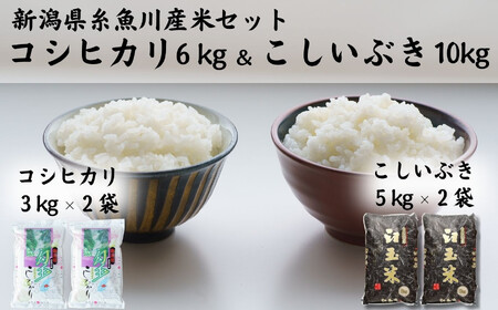 [令和6年産 新米]新潟県産『コシヒカリ』6kgと『こしいぶき』10kgのセット 糸魚川 美味しいお米の食べ比べ 白米 木島米穀店 2024年[米 お米 コメ こしひかり コシイブキ ブランド米 ご飯 ライス ふるさと納税 お弁当 おにぎり 精米 食品 おすすめ 人気 新潟県 糸魚川市][ コシヒカリ こしいぶき コシイブキ]