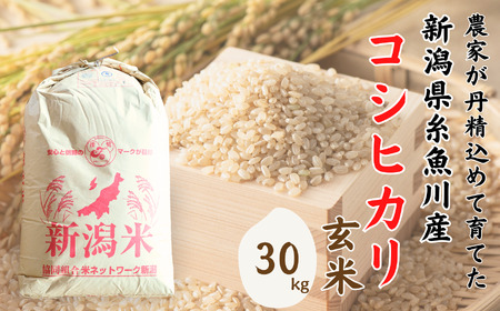 米 新米 玄米[令和6年産 新米]新潟県産 コシヒカリ 玄米 30kg 2024年 精米対応不可 1等米 木島米穀店[ お米 こめ コメ こしひかり ご飯 ライス ブランド 新潟県 糸魚川 食品 人気 おすすめ 30キロ 先行予約][ こしひかり ]