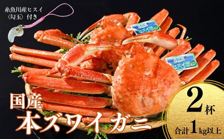 [期間限定]本ズワイガニ 500g以上×2杯 計1kg以上 [ヒスイ勾玉付き] 姿 蒸し蟹 糸魚川産 鮮度が命!蒸したて直送 ずわいがに かに 蟹 ヒスイ水産 国産 日本海 新潟 新鮮 タグ付き 11月から漁開始 ギフトにも おススメ カニ まがたま