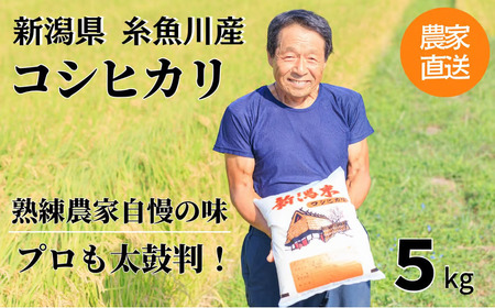 令和7年産 新潟県産『コシヒカリ』5kg プロも太鼓判!熟練農家のうまい米 2025年産 農家直送 吉農園[新潟県 糸魚川市 米 お米 こめ コメ ご飯 ライス ふるさと納税米 ブランド米 おすすめ ギフト 5キロ 精米 白米 人気 食品]
