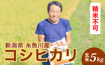 令和7年産 新潟県産『コシヒカリ 玄米』5kg(精米不可)プロも太鼓判!熟練農家のうまい米 2025年 農家直送 吉農園[新潟県 糸魚川市 米 お米 こめ コメ ご飯 ライス ふるさと納税 ブランド おすすめ ギフト 5キロ 精米不可 人気 食品]