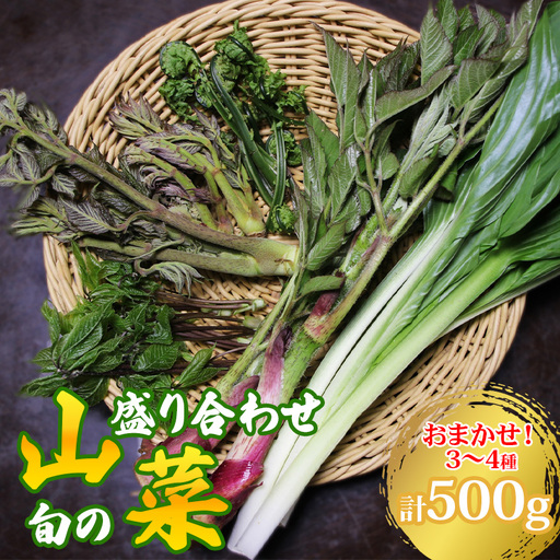 [期間限定]令和8年産 旬の山菜 盛り合わせ(3〜4種)500g[朝採れ おまかせ詰め合わせ 産地直送 新潟県 糸魚川市 山菜 野菜 能生谷 おおかやば山菜園]