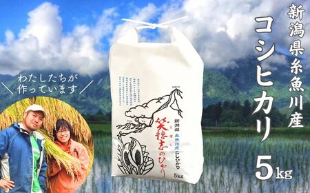 新潟県産コシヒカリ(米袋) 5kg 笑穂志(えぼし)のひかり 令和5年産 糸魚川 新潟産こしひかり5kg [ コシヒカリ こしひかり 精米 白米 ]