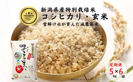 ふるさと納税「減農薬 米」の人気返礼品・お礼品比較 - 価格.com