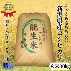 新潟県産コシヒカリ 玄米 30kg 令和5年産 農家直送(小分け・精米サービス可能)