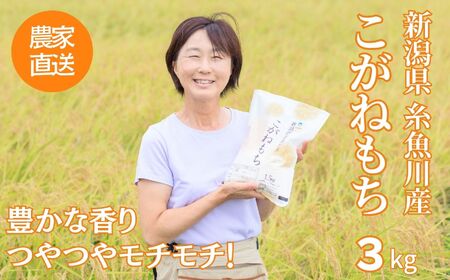 新米 新潟県産 もち米『こがねもち』3kg（2升）令和6年産 つやつやモチモチ もち米ならではの芳醇な香り 清耕園ファーム 【餅 赤飯 おこわ ご飯 ライス ふるさと納税 米 ブランド米】【もち こがねもち もち米 こがねもち 】