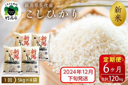 [定期便][2024年12月下旬より発送]新潟県矢代産コシヒカリ20kg×6回(計120kg)※沖縄県・離島配送不可