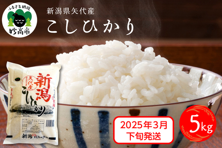 [2025年3月下旬発送]新潟県矢代産コシヒカリ5kg※沖縄県・離島配送不可