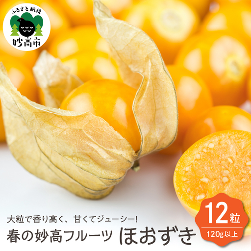 春の妙高フルーツほおずき 12粒 オレンジチェリー 食用 美容 スーパーフード 果物 送料無料 新潟県 妙高市