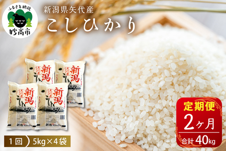 ふるさと納税「コシヒカリ20kg」の人気返礼品・お礼品比較 - 価格.com