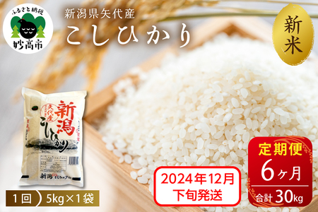 2024年12月下旬より発送[定期便]令和6年産 新潟県矢代産コシヒカリ5kg(計30kg)全6回 6回連続 6ヶ月 6ヵ月 こしひかり ブランド米 白米 精米 お米 コメ こめ ご飯 おにぎり 贈り物 ギフト 妙高市