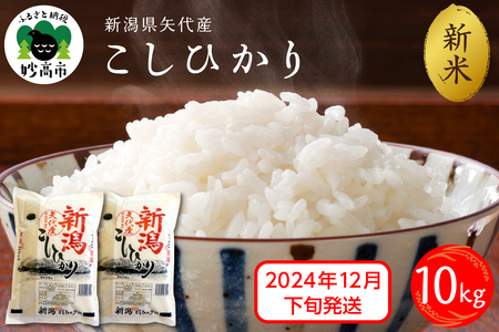 [2024年12月下旬発送]令和6年産 新潟県矢代産コシヒカリ10kg 上越 こしひかり 米どころ 精米 白米 コメ お米 ご飯 ごはん おにぎり 弁当 便利 大人気 グルメ 10キロ