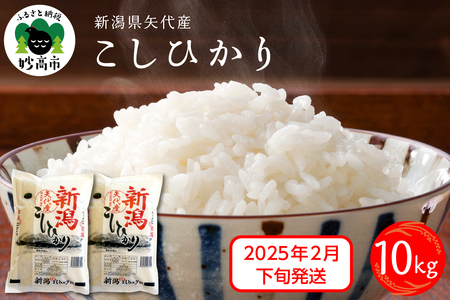 [2025年2月下旬発送]令和6年産 新潟県矢代産コシヒカリ10kg 上越 こしひかり 米どころ 精米 白米 コメ お米 ご飯 ごはん おにぎり 弁当 便利 大人気 グルメ 10キロ