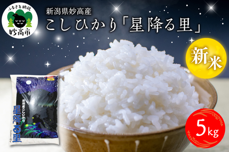 y2025N12{zߘa7NY VYЂu~闢v5kg   uh  RVqJ 5L V s o_