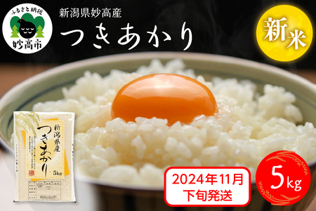 [2024年11月下旬発送]令和6年産 新潟県妙高産つきあかり5kg 白米 精米 お取り寄せ 5キロ 新潟 妙高市 小出農場