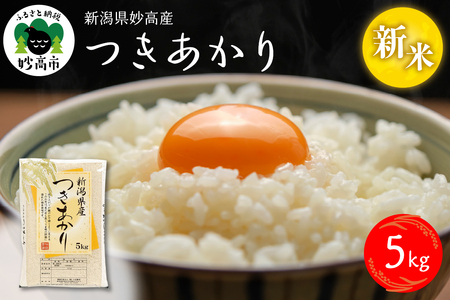 y2025N12{zߘa7NY VY5kg    5L V s o_