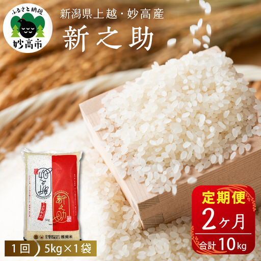 【定期便】【2026年7月上旬より発送】新潟県上越・妙高産新之助5kg×2回（計10kg）