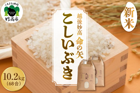 【先行予約】令和7年産 越後妙高命の矢 こしいぶき 10.2kg 新潟県 上越 妙高産 米どころ 白米 精米 コメ お米 こめ ご飯 ごはん ライス 弁当 小分け 大容量 お取り寄せ 送料無料 妙高市