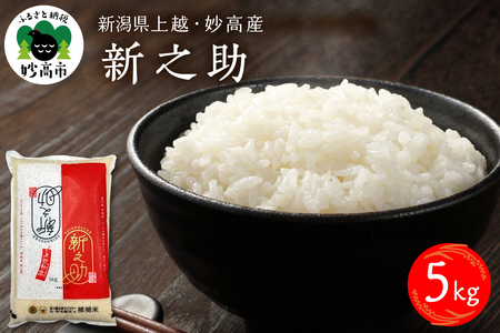 y2026N2{zߘa7NY VzYVV5kgꌧEzs