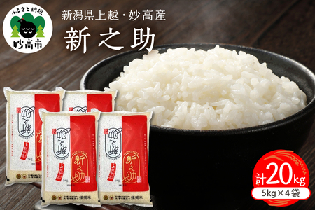 y2026N1{zVzYVV20kgꌧEzs