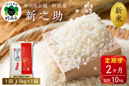 2025年10月上旬発送[定期便]令和7年産 新潟県上越・妙高産新之助5kg×2回(計10kg)連続 2ヶ月 2ヵ月 ブランド米 白米 精米 お米 コメ こめ ご飯 おにぎり 贈り物 ギフト