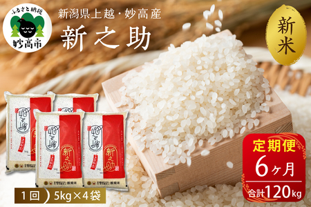 2025N12{蔭yցzߘa7NY VzEYVV20kg×6iv120kgjꌧEzs