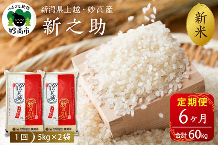 2025N12{蔭yցzߘa7NY VzEYVV10kg×6iv60kgjꌧEzs