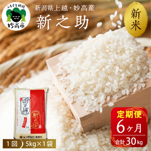 2025年11月中旬より発送【定期便】令和7年産 新潟県上越・妙高産新之助5kg（計30kg）全6回 しんのすけ 5kg×1袋 6回連続 6ヶ月 6ヵ月 ブランド米 白米 精米 お米 コメ こめ ご飯 おにぎり 贈り物 ギフト