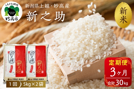 2025N12{yցzߘa7NY VzEYVV10kg×3iv30kgj