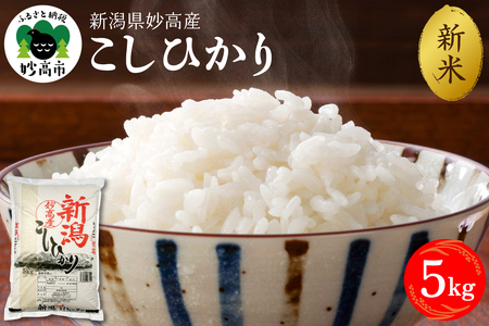 y2025N12{zVYRVqJ5kgꌧEzs