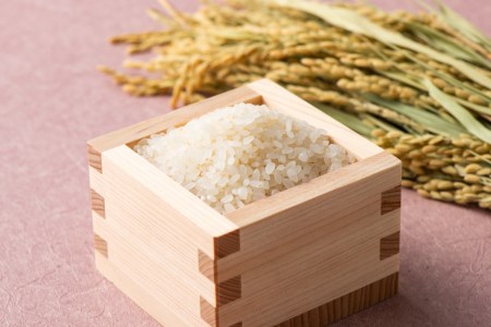 【定期便】【2025年6月中旬より発送】新潟県矢代産コシヒカリ5kg 3回（計15kg）※沖縄県・離島配送不可