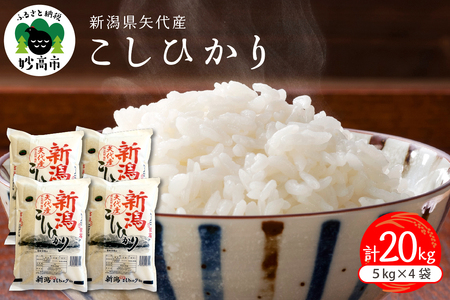【2025年5月中旬発送】新潟県矢代産コシヒカリ20kg  上越 こしひかり 米どころ 精米 白米 コメ お米 ご飯 ごはん おにぎり 弁当 便利 大人気 グルメ 20キロ
