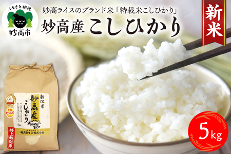 [令和6年産]妙高産こしひかり特別栽培米5kg 米 精米 白米 お米 ブランド米 農家直送 産地直送 お取り寄せ グルメ ご当地 特産 産地 新潟県 妙高市