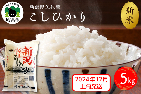 [2024年12月上旬発送]新潟県矢代産コシヒカリ5kg※沖縄県・離島配送不可