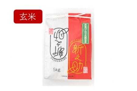 令和6年度産新米[お米ソムリエのお米]新之助 玄米 5kg(5kg×1袋) [10月中旬以降順次発送] エバーグリーン農場