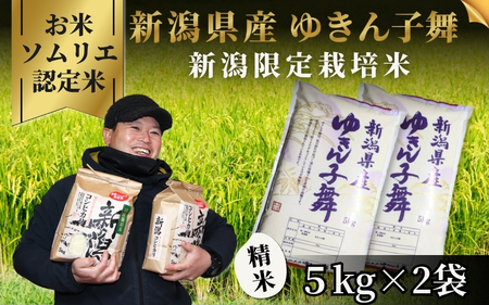 令和7年度産米[お米ソムリエのお米]ゆきん子舞 精米 10kg(5kg×2袋) エバーグリーン農場|米 米 米 米 米