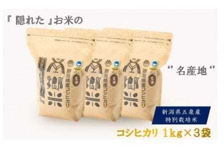 [令和6年度産新米]特別栽培米コシヒカリ「南郷米」玄米3kg(1kg×3袋) 有限会社ファームみなみの郷