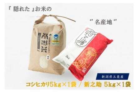 [令和6年度産新米]お米食べ比べセット 精米 10kg(南郷米5kg×1袋、新之助5kg×1袋) 有限会社ファームみなみの郷