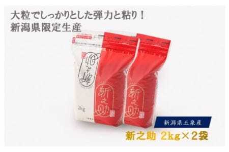 [令和6年度産新米]新之助 精米 4kg(2kg×2袋) [10月上旬以降順次発送] 有限会社ファームみなみの郷